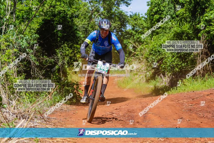 1º CAMPEONATO CINTURÃO VERDE BOUGAINVILLE PREMIUM - PRIMEIRA ETAPA