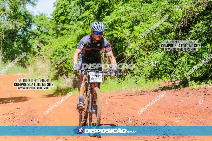 1º CAMPEONATO CINTURÃO VERDE BOUGAINVILLE PREMIUM - PRIMEIRA ETAPA