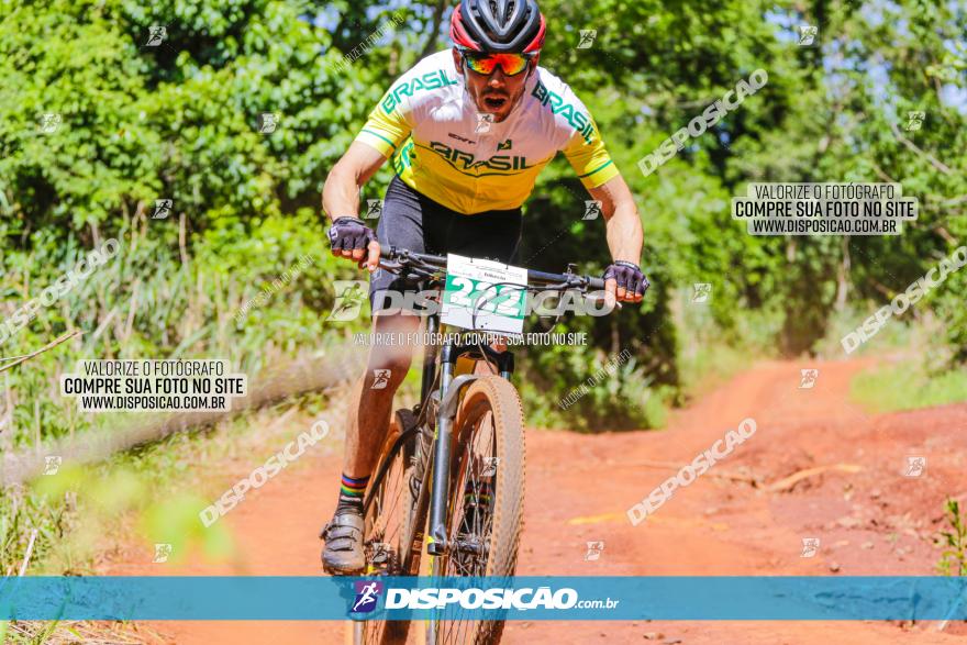 1º CAMPEONATO CINTURÃO VERDE BOUGAINVILLE PREMIUM - PRIMEIRA ETAPA