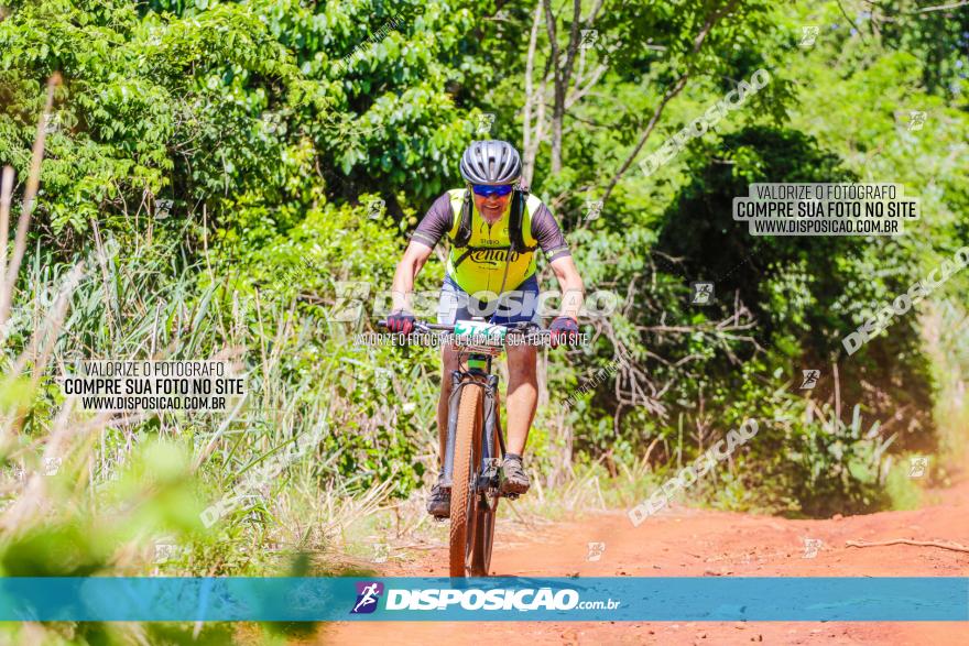 1º CAMPEONATO CINTURÃO VERDE BOUGAINVILLE PREMIUM - PRIMEIRA ETAPA