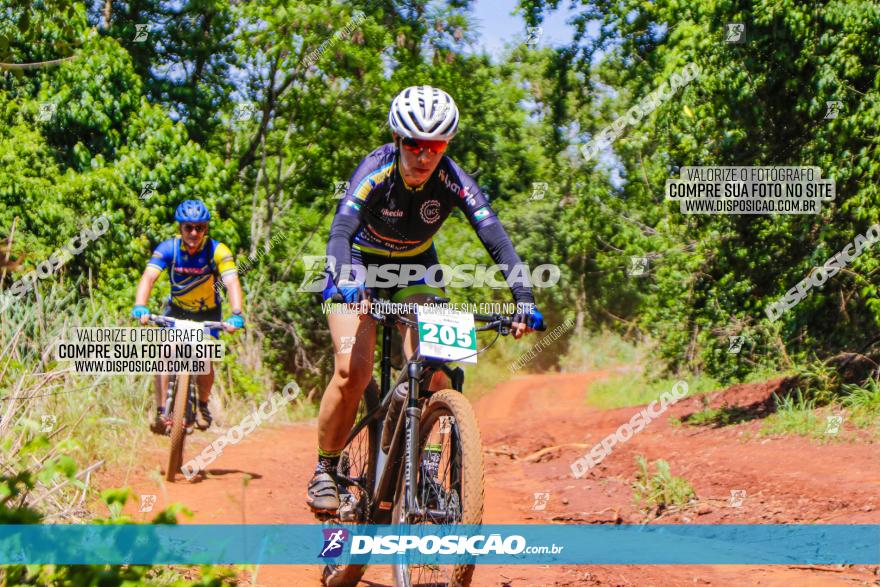 1º CAMPEONATO CINTURÃO VERDE BOUGAINVILLE PREMIUM - PRIMEIRA ETAPA