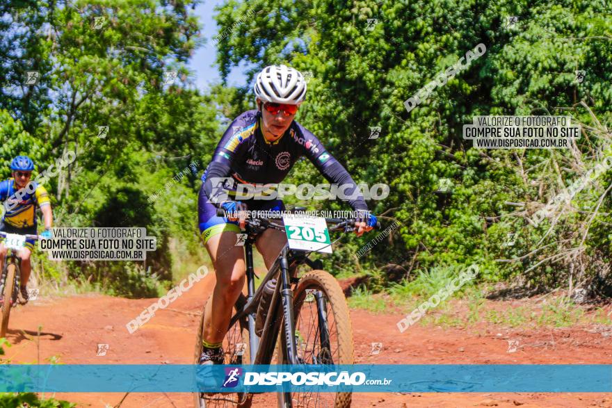 1º CAMPEONATO CINTURÃO VERDE BOUGAINVILLE PREMIUM - PRIMEIRA ETAPA