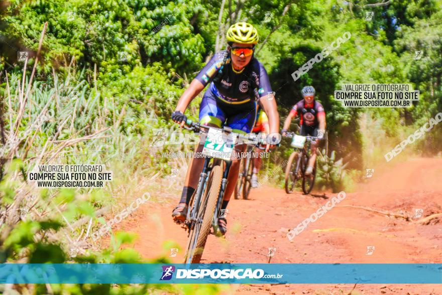 1º CAMPEONATO CINTURÃO VERDE BOUGAINVILLE PREMIUM - PRIMEIRA ETAPA