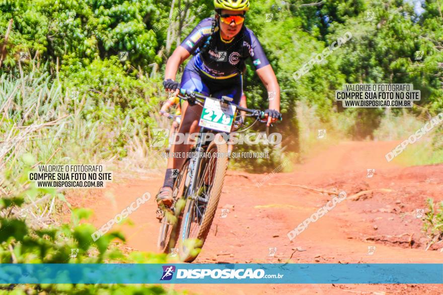 1º CAMPEONATO CINTURÃO VERDE BOUGAINVILLE PREMIUM - PRIMEIRA ETAPA