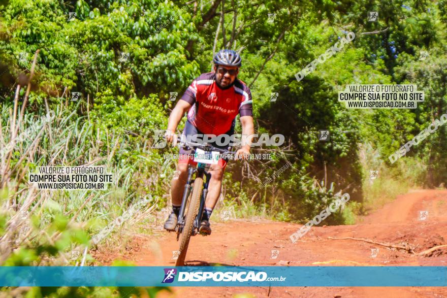 1º CAMPEONATO CINTURÃO VERDE BOUGAINVILLE PREMIUM - PRIMEIRA ETAPA