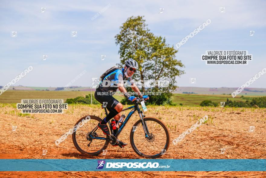 1º CAMPEONATO CINTURÃO VERDE BOUGAINVILLE PREMIUM - PRIMEIRA ETAPA