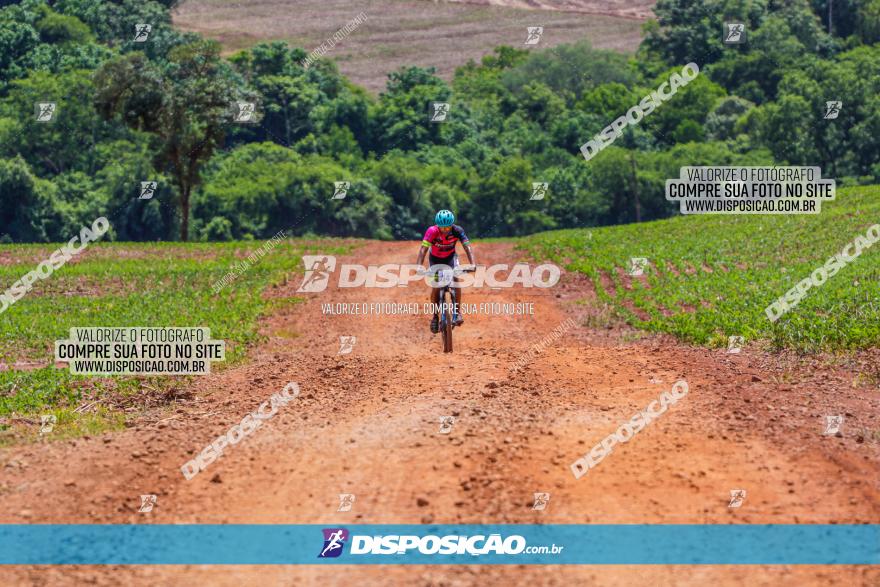 1º CAMPEONATO CINTURÃO VERDE BOUGAINVILLE PREMIUM - PRIMEIRA ETAPA