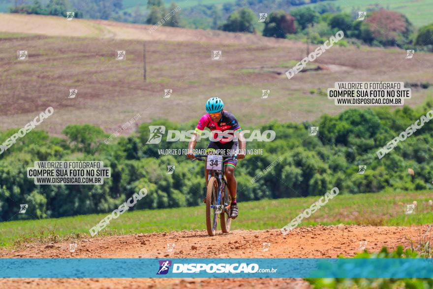 1º CAMPEONATO CINTURÃO VERDE BOUGAINVILLE PREMIUM - PRIMEIRA ETAPA