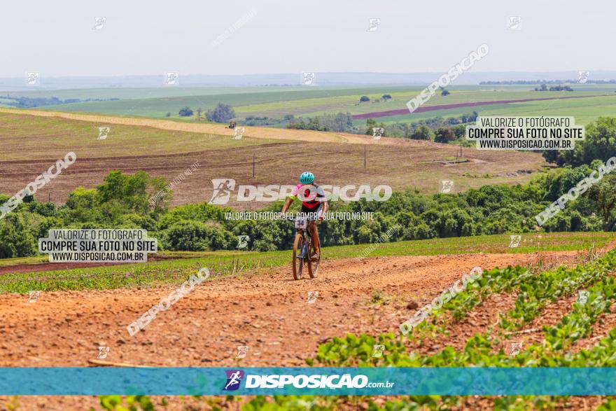 1º CAMPEONATO CINTURÃO VERDE BOUGAINVILLE PREMIUM - PRIMEIRA ETAPA