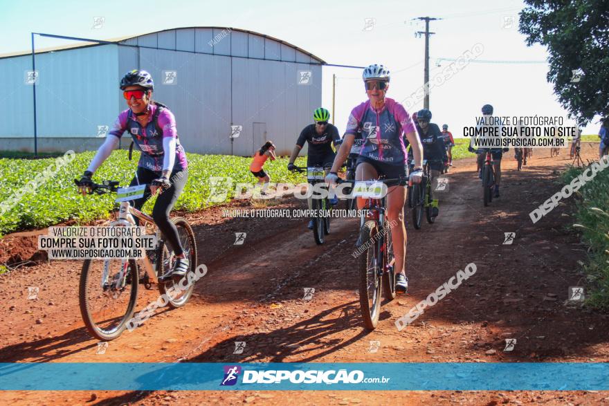  Furioso Extrema MTB 