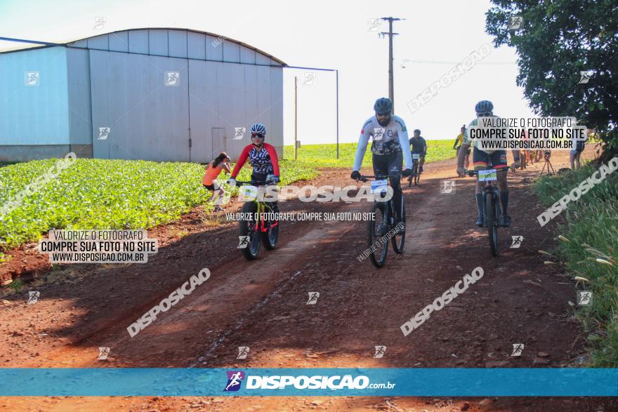  Furioso Extrema MTB 