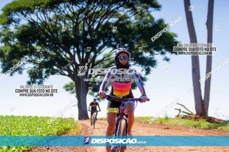  Furioso Extrema MTB 