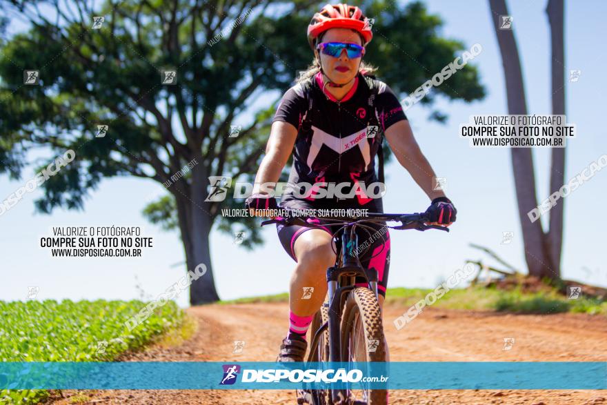  Furioso Extrema MTB 