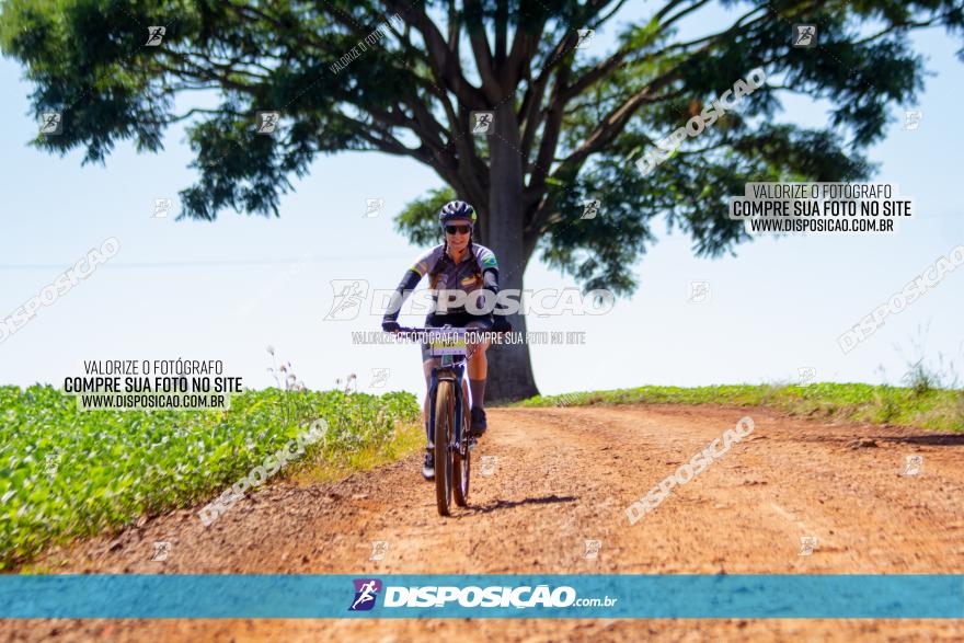  Furioso Extrema MTB 