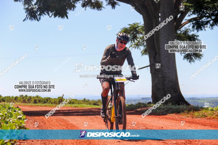  Furioso Extrema MTB 