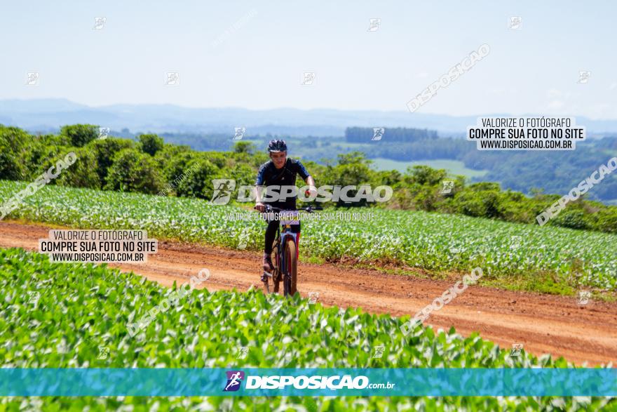  Furioso Extrema MTB 