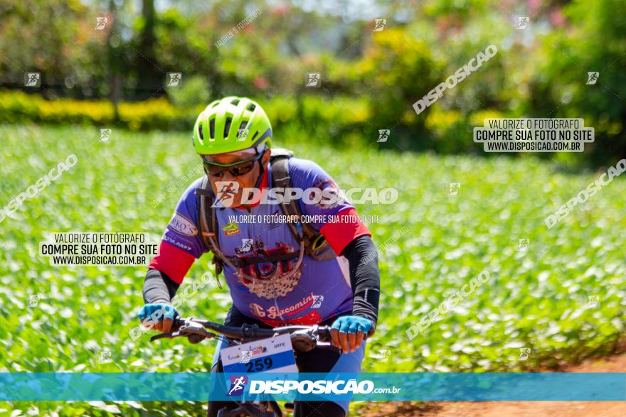  Furioso Extrema MTB 