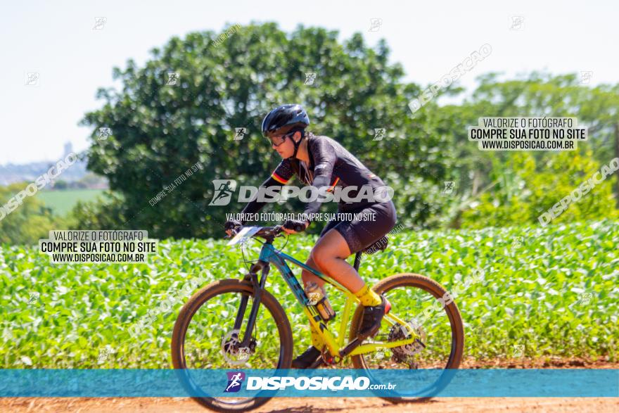  Furioso Extrema MTB 