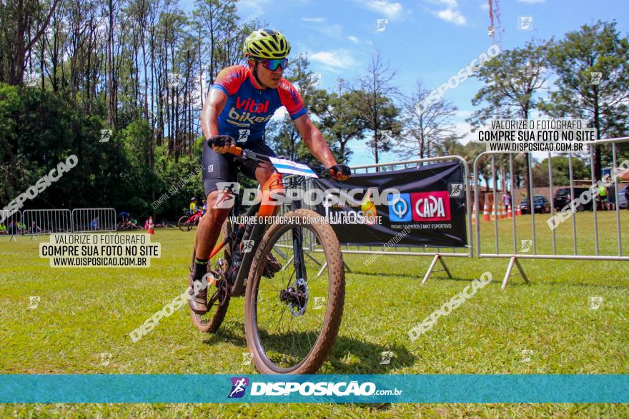  Furioso Extrema MTB 