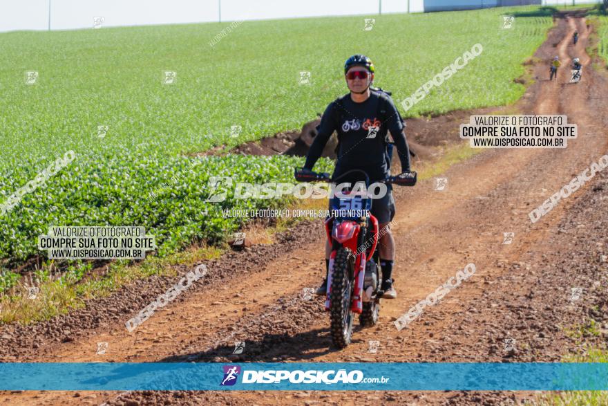  Furioso Extrema MTB 