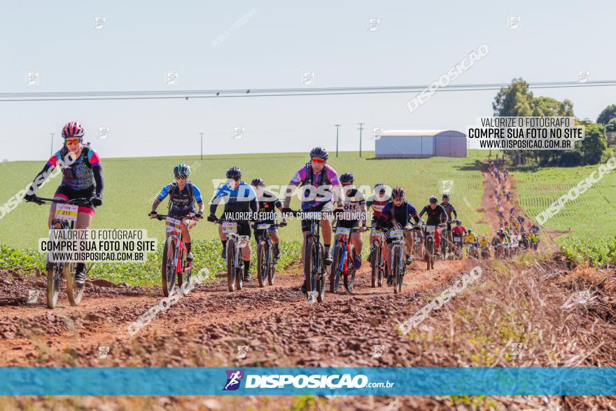  Furioso Extrema MTB 