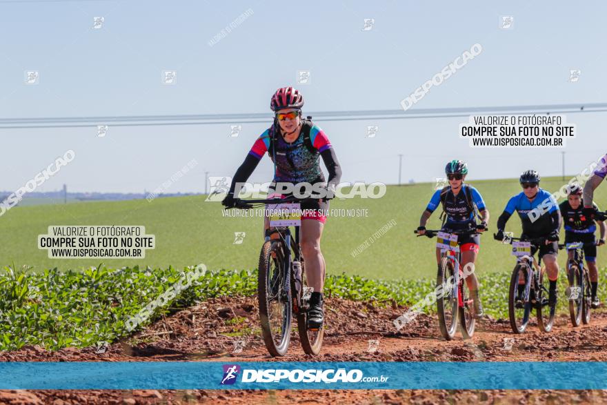  Furioso Extrema MTB 