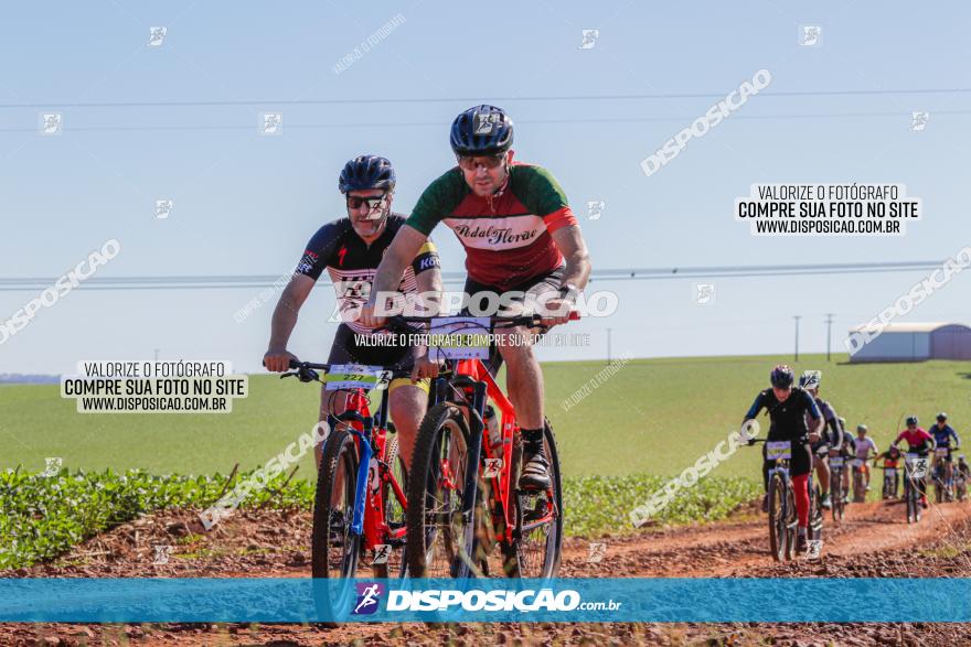  Furioso Extrema MTB 