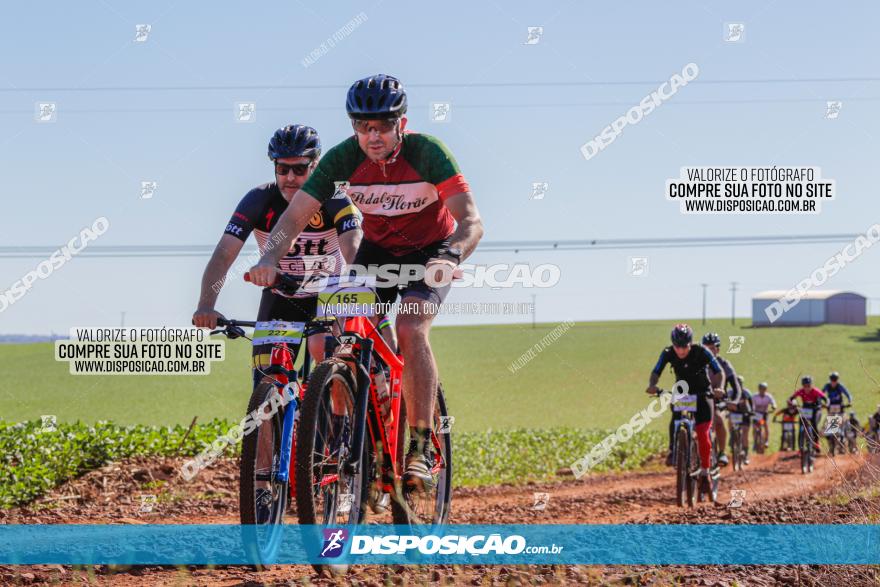  Furioso Extrema MTB 