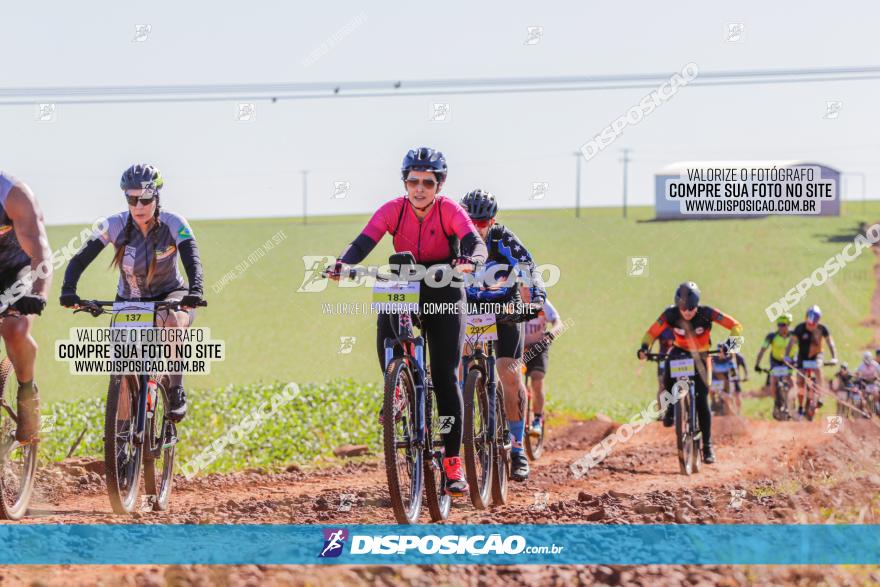  Furioso Extrema MTB 