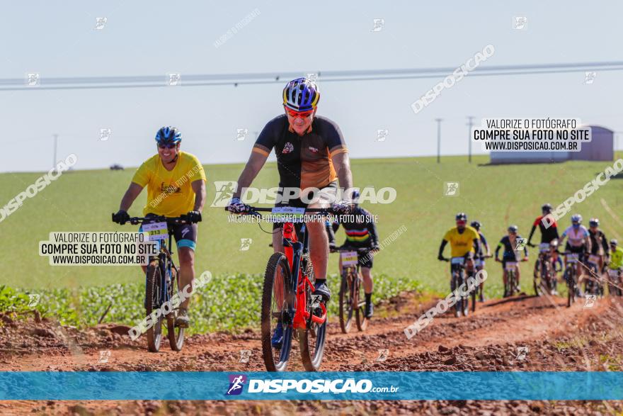  Furioso Extrema MTB 