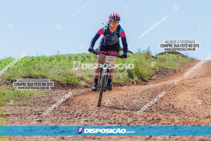  Furioso Extrema MTB 