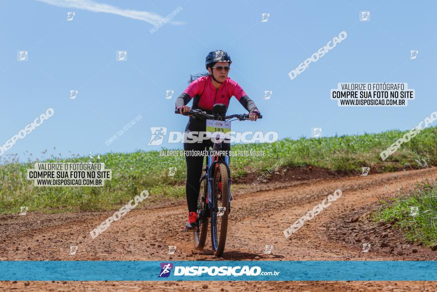  Furioso Extrema MTB 