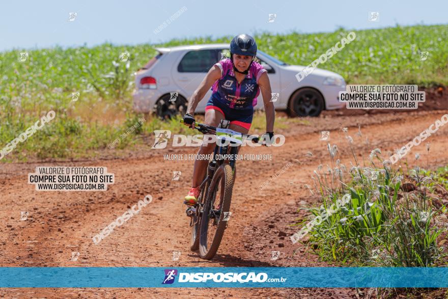  Furioso Extrema MTB 