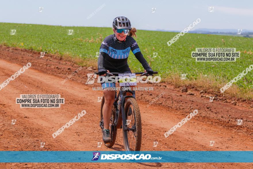  Furioso Extrema MTB 