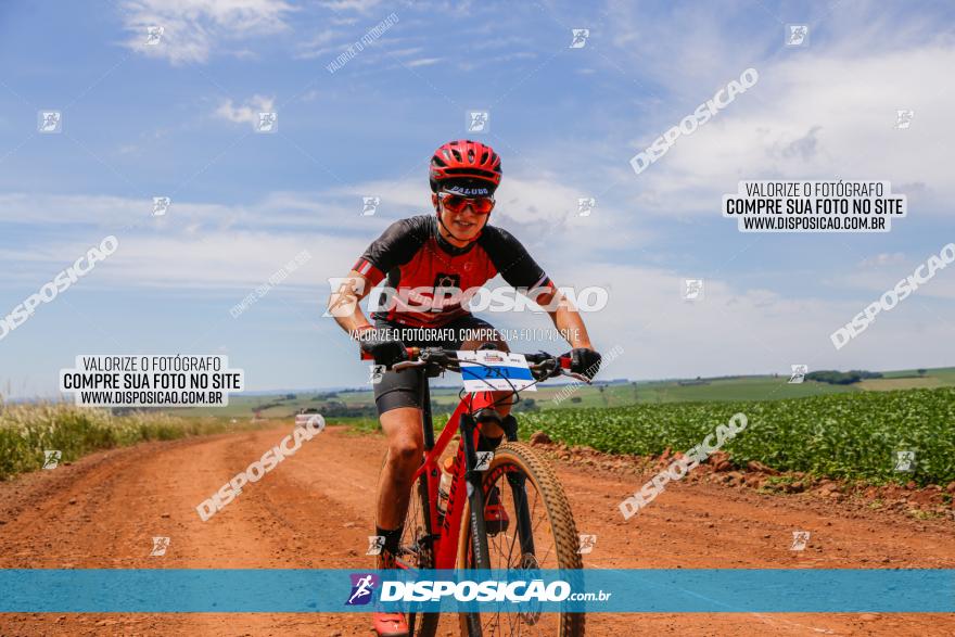  Furioso Extrema MTB 