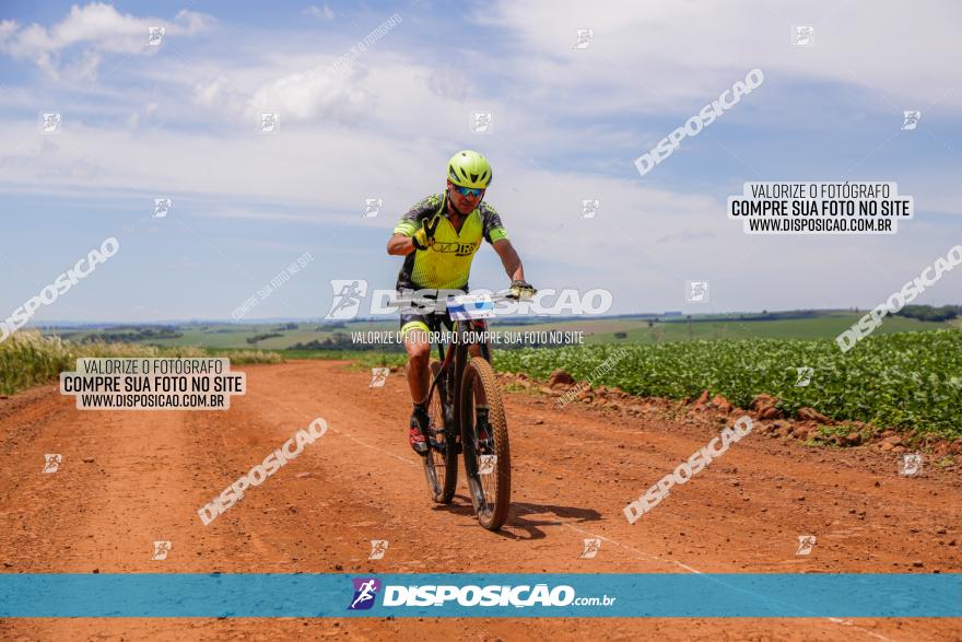  Furioso Extrema MTB 