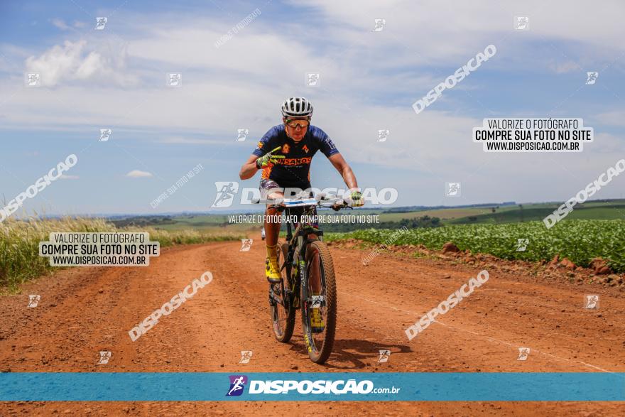  Furioso Extrema MTB 