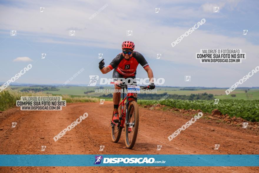  Furioso Extrema MTB 