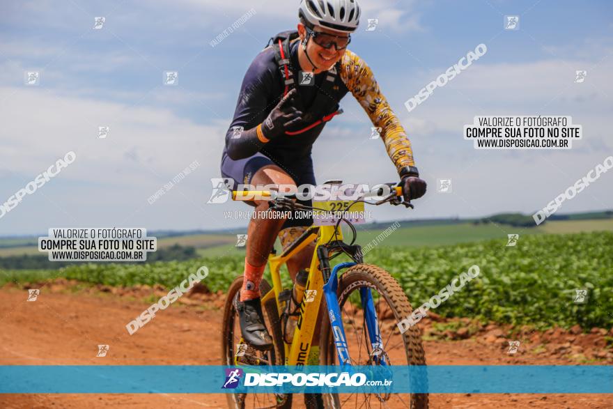  Furioso Extrema MTB 