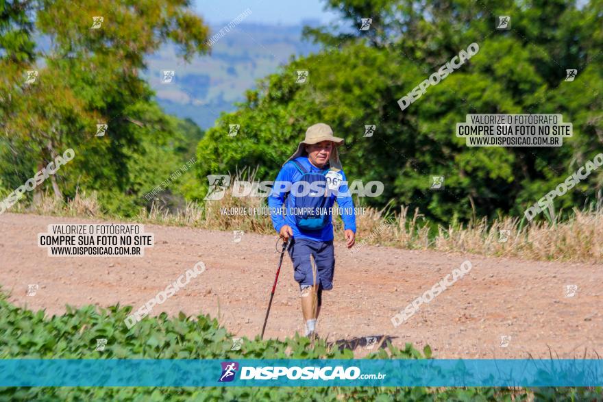 VIII Desafio das Catedrais - 2021