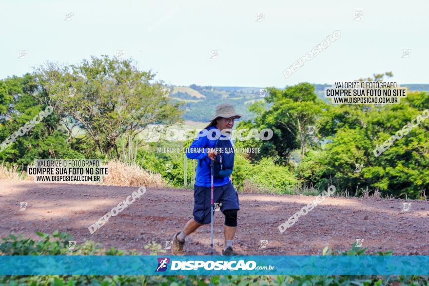 VIII Desafio das Catedrais - 2021