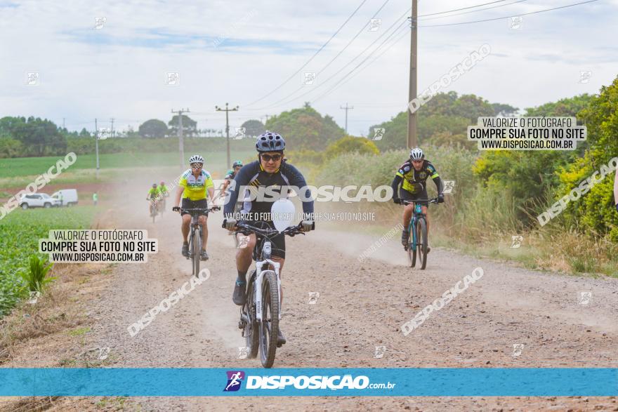 Circuito Jandaia 2021 - Edição Especial