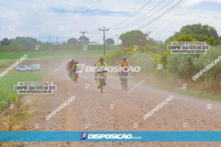 Circuito Jandaia 2021 - Edição Especial