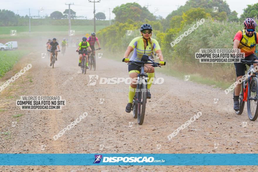 Circuito Jandaia 2021 - Edição Especial