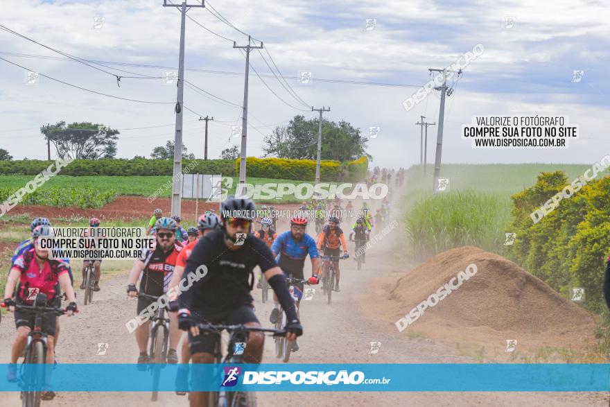 Circuito Jandaia 2021 - Edição Especial