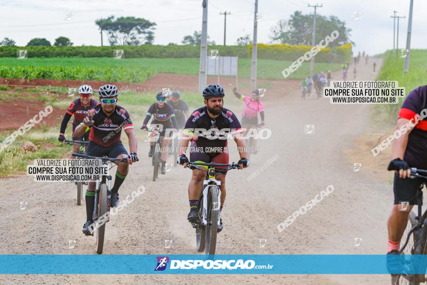 Circuito Jandaia 2021 - Edição Especial