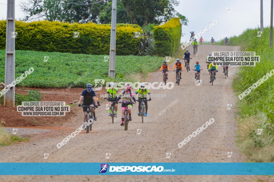 Circuito Jandaia 2021 - Edição Especial