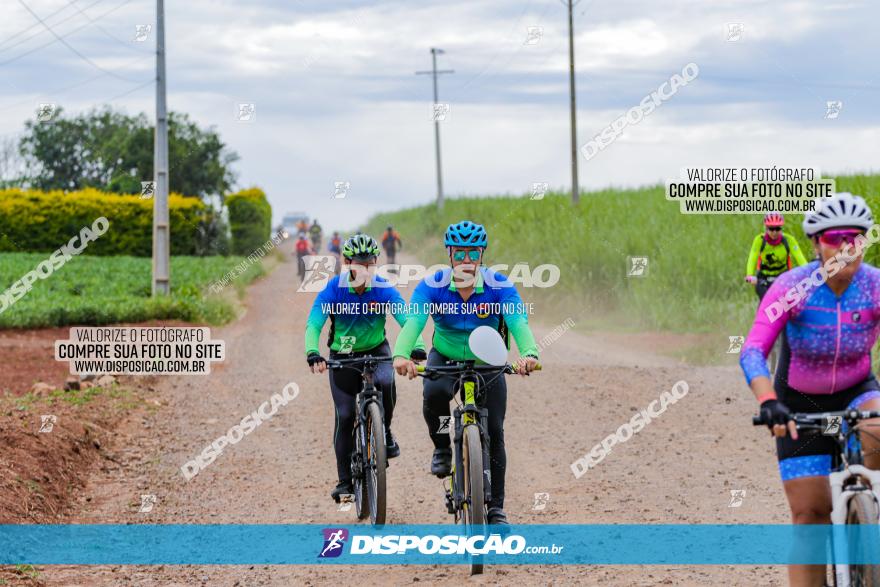 Circuito Jandaia 2021 - Edição Especial