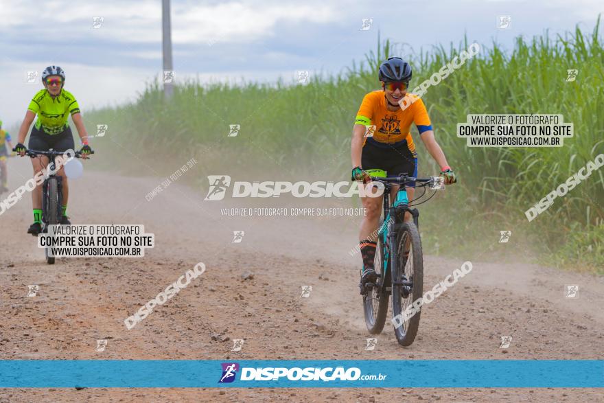 Circuito Jandaia 2021 - Edição Especial