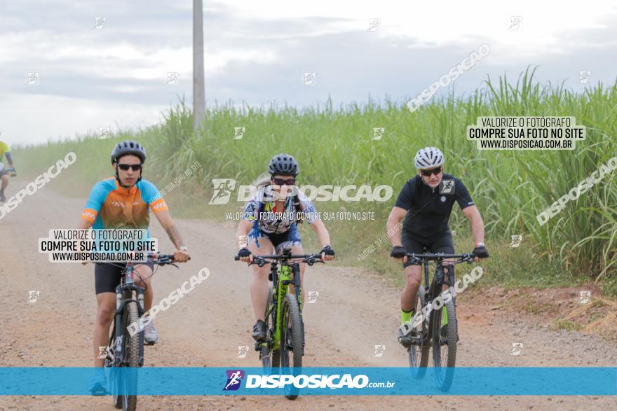 Circuito Jandaia 2021 - Edição Especial